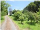 449 Irishtown Road, Irishtown TAS 7330