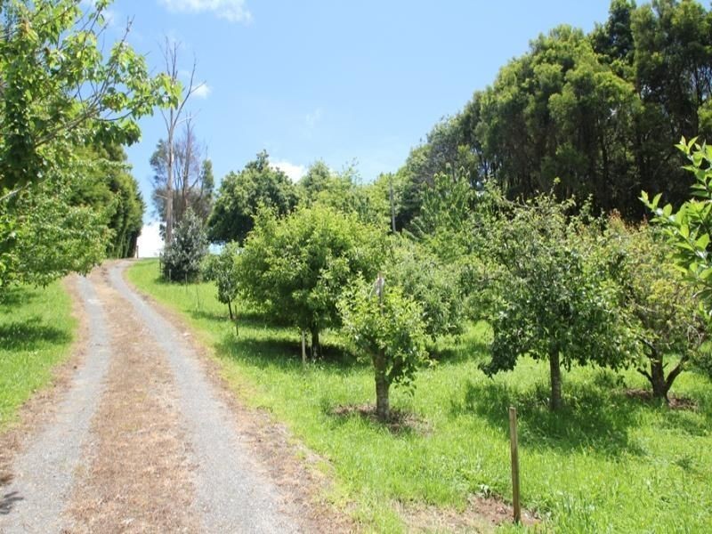 449 Irishtown Road, Irishtown TAS 7330