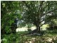 449 Irishtown Road, Irishtown TAS 7330