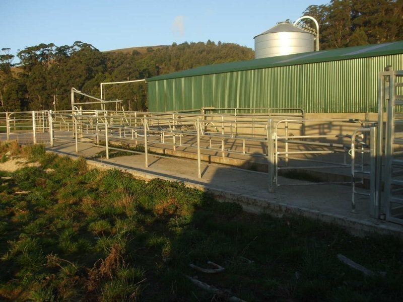 1432 Trowutta Road, Edith Creek TAS 7330