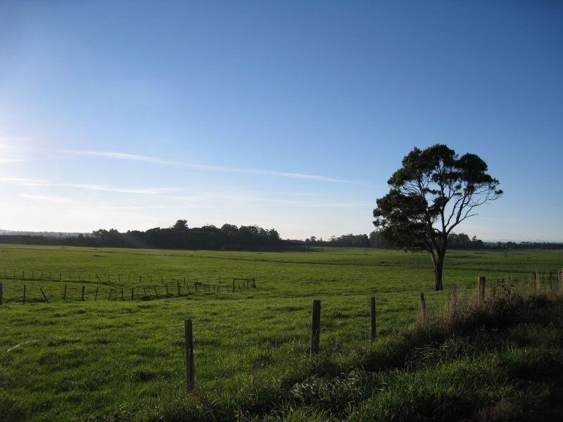 1432 Trowutta Road, Edith Creek TAS 7330