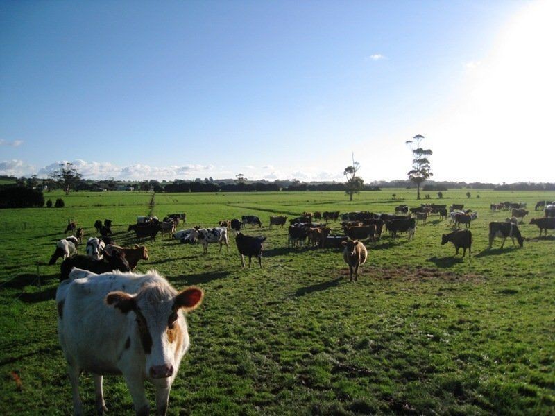 23 Purdys Road, Irishtown TAS 7330