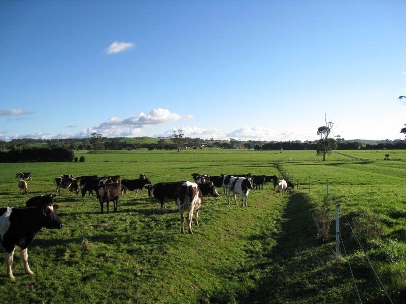 23 Purdys Road, Irishtown TAS 7330