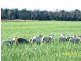 204 Forest Hill Road, Cleveland TAS 7211