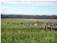 204 Forest Hill Road, Cleveland TAS 7211