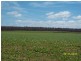 204 Forest Hill Road, Cleveland TAS 7211
