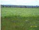 204 Forest Hill Road, Cleveland TAS 7211
