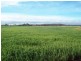 204 Forest Hill Road, Cleveland TAS 7211