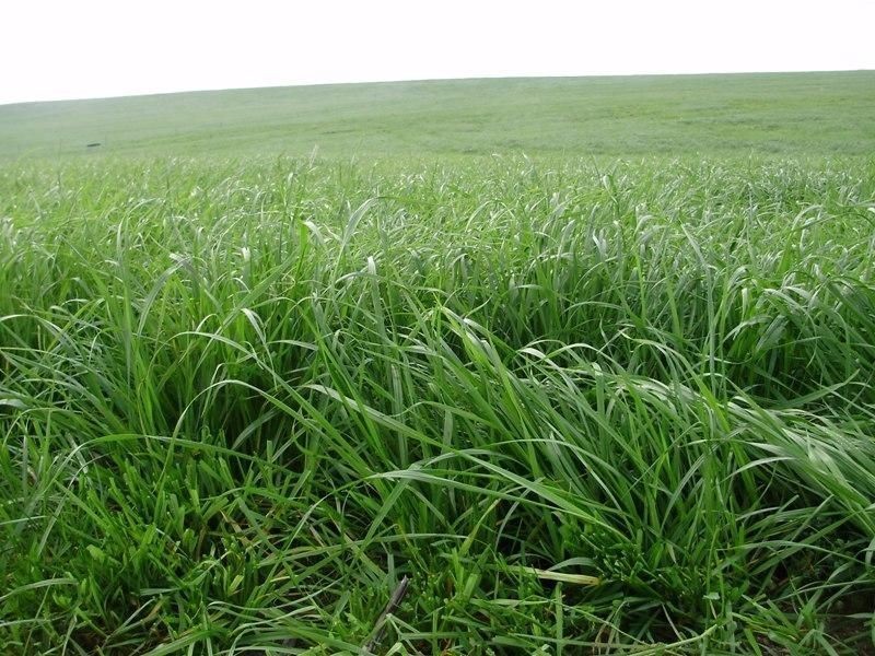 5467 Poatina Road, Cressy TAS 7302