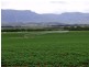 5467 Poatina Road, Cressy TAS 7302