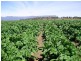 5467 Poatina Road, Cressy TAS 7302