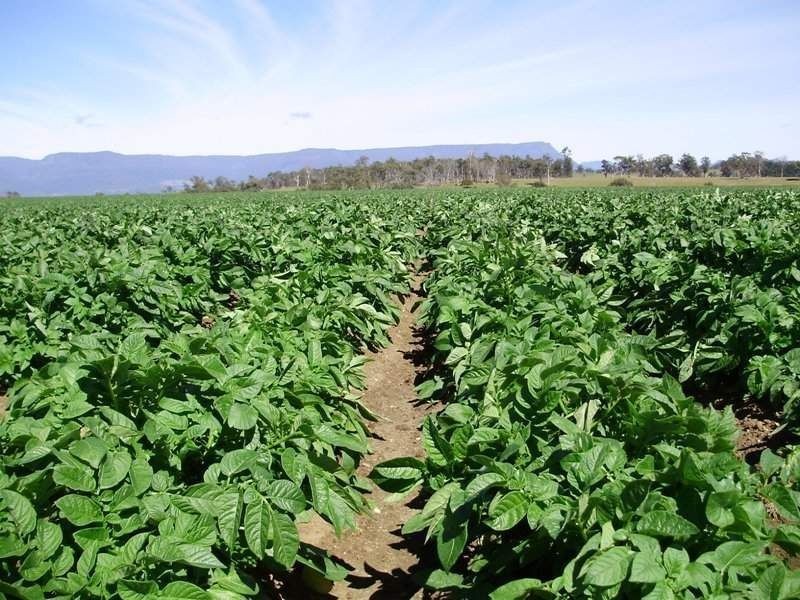 5467 Poatina Road, Cressy TAS 7302