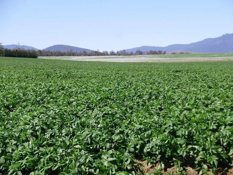 5467 Poatina Road, Cressy TAS 7302