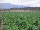 5467 Poatina Road, Cressy TAS 7302