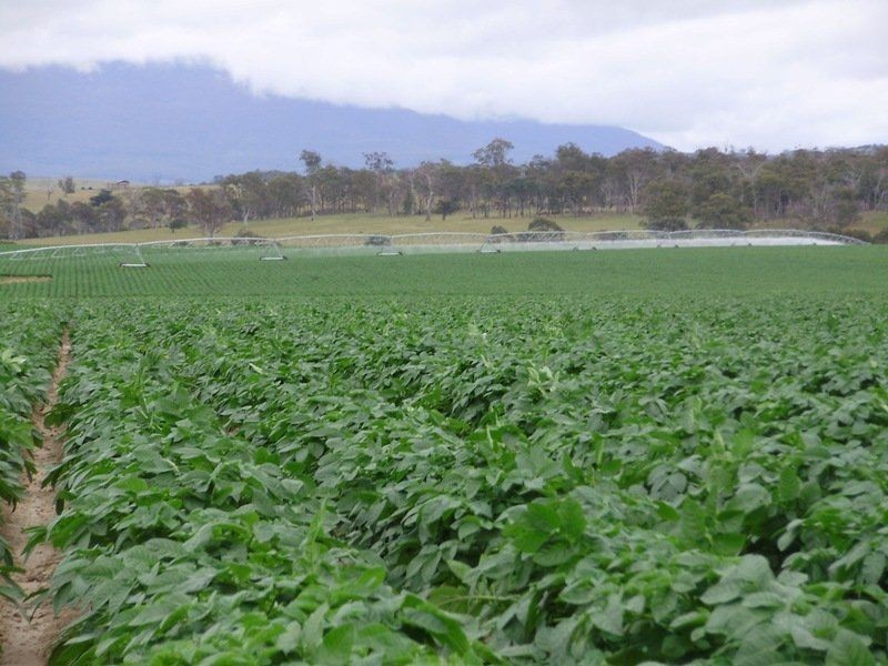 5467 Poatina Road, Cressy TAS 7302