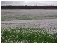 5467 Poatina Road, Cressy TAS 7302