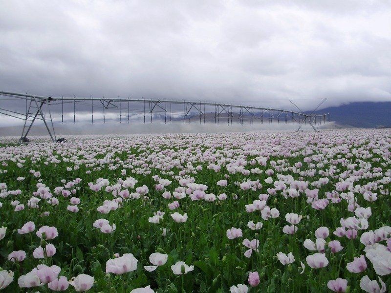 5467 Poatina Road, Cressy TAS 7302