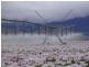 5467 Poatina Road, Cressy TAS 7302