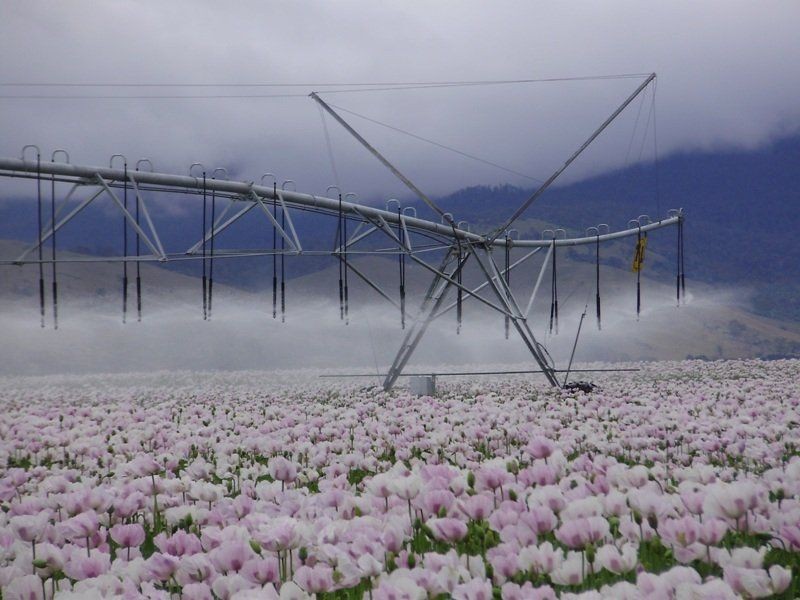 5467 Poatina Road, Cressy TAS 7302