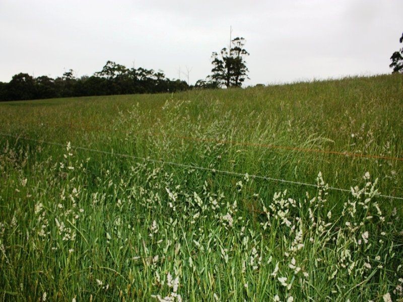 40 Schuurings Road, Christmas Hills TAS 7330