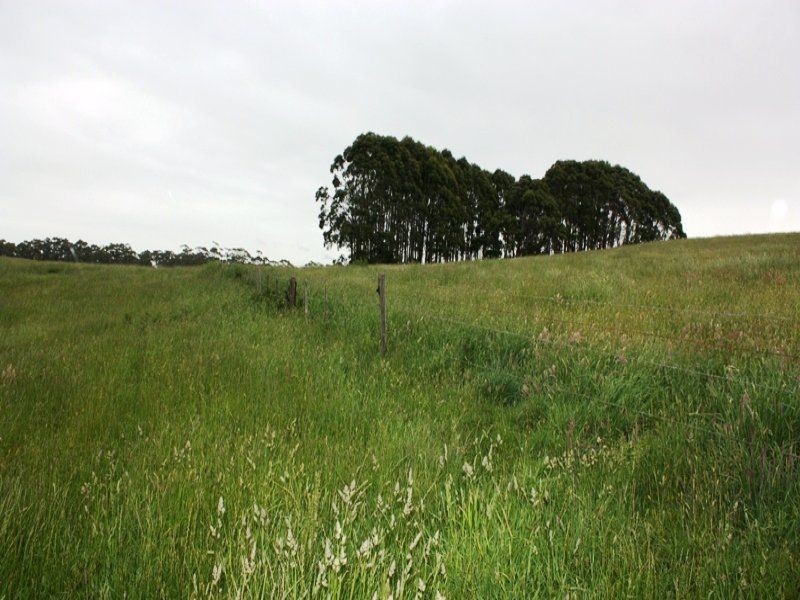 40 Schuurings Road, Christmas Hills TAS 7330