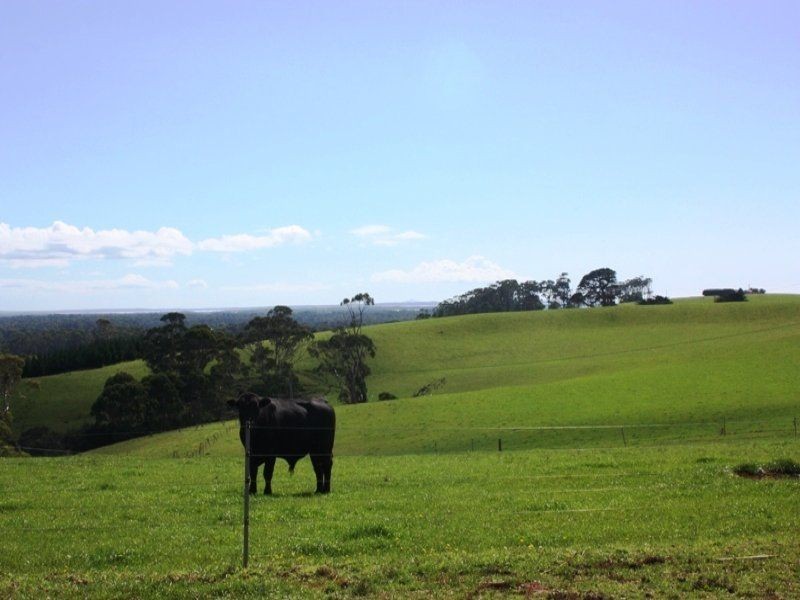 132 Scotchtown Road, Boomahnoomoonah VIC 3728