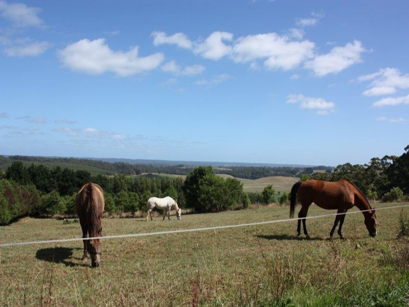 42 Bilsons Road, Irishtown TAS 7330