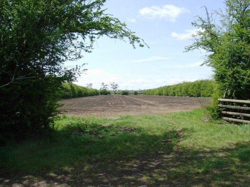 169 Mole Creek Road, Deloraine TAS 7304