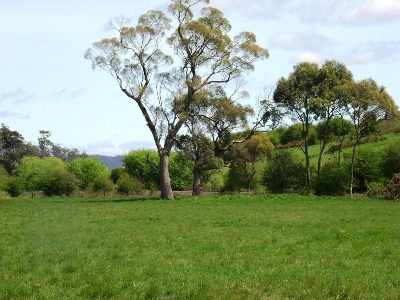 169 Mole Creek Road, Deloraine TAS 7304