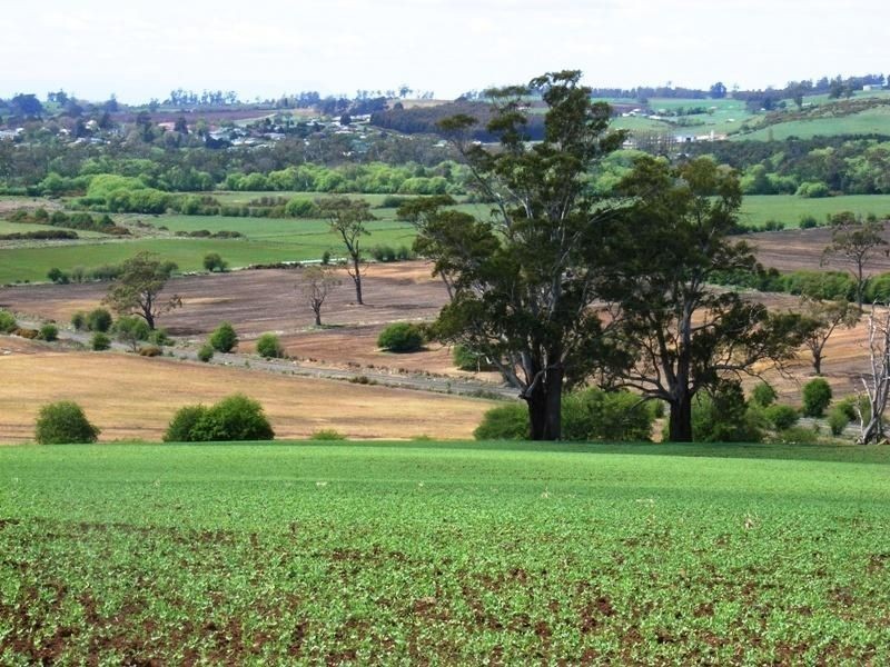 169 Mole Creek Road, Deloraine TAS 7304