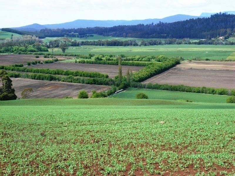 169 Mole Creek Road, Deloraine TAS 7304