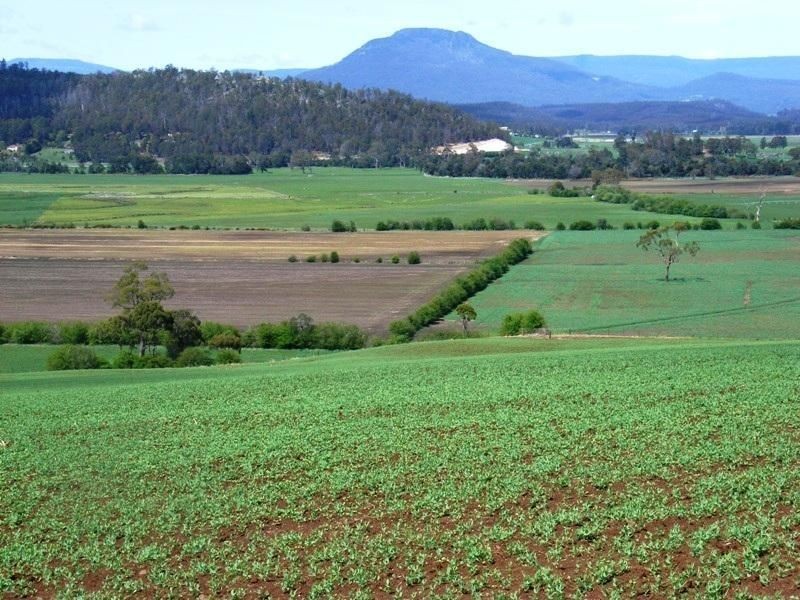 169 Mole Creek Road, Deloraine TAS 7304