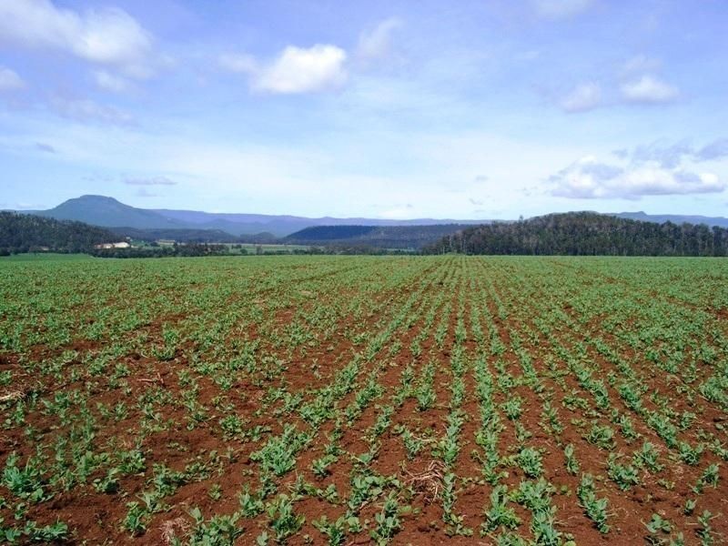 169 Mole Creek Road, Deloraine TAS 7304