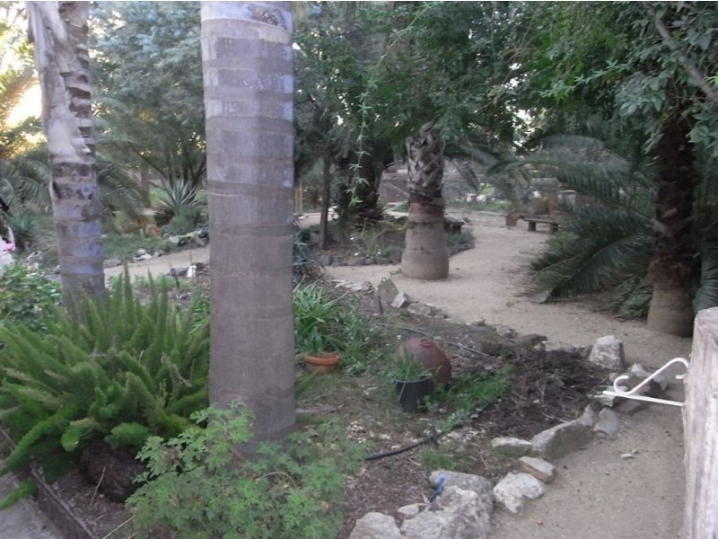 184 Bearii East Road, Bearii VIC 3641