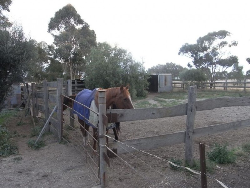 184 Bearii East Road, Bearii VIC 3641