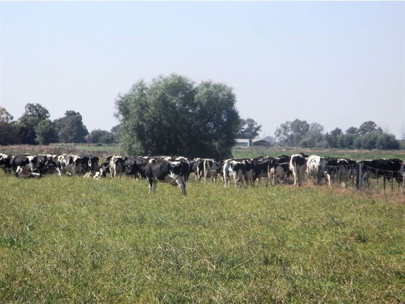 10 Horners Road, Nathalia VIC 3638