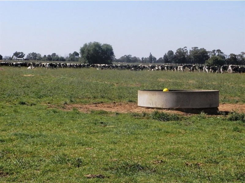 10 Horners Road, Nathalia VIC 3638