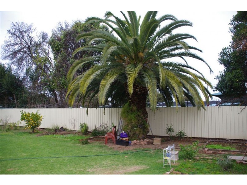 9 Gregory Street, Cobram VIC 3644