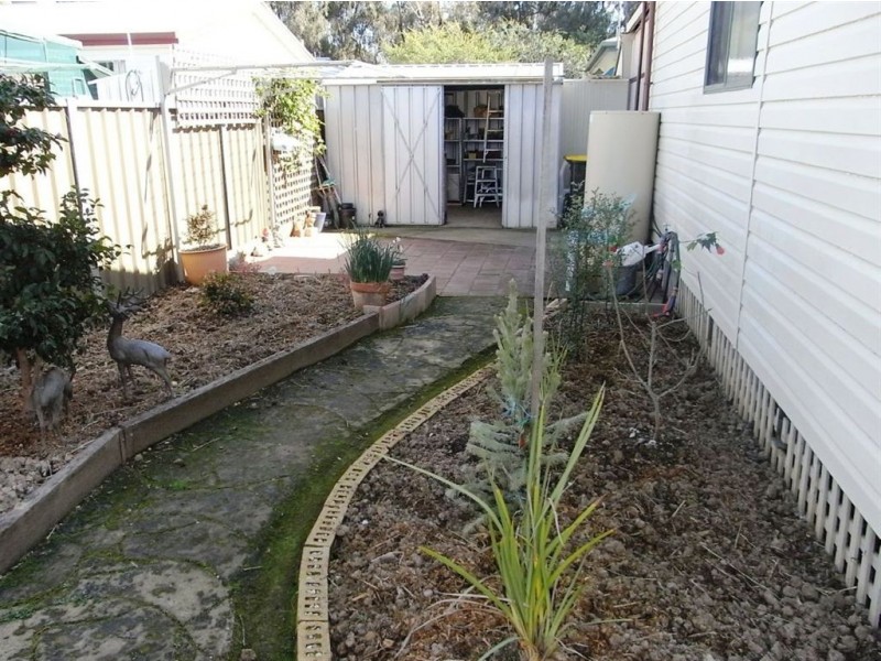 11 Gumview Court Oasis Village, Cobram VIC 3644