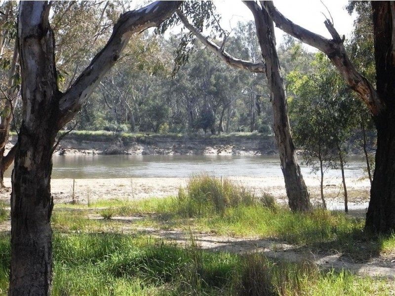 169 Bott Road, Cobram VIC 3644