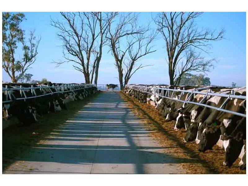 569 MacArthur, Cobram VIC 3644