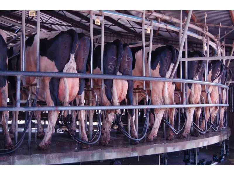 569 MacArthur, Cobram VIC 3644