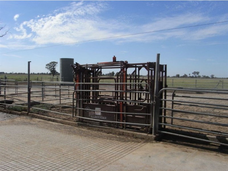 569 MacArthur, Cobram VIC 3644