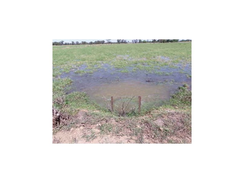 569 MacArthur, Cobram VIC 3644