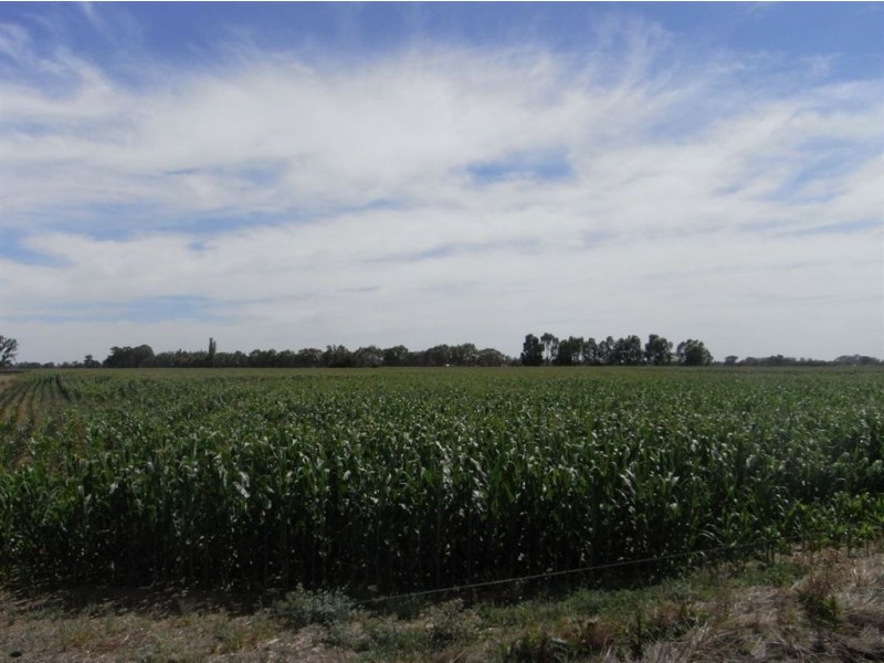 569 MacArthur, Cobram VIC 3644