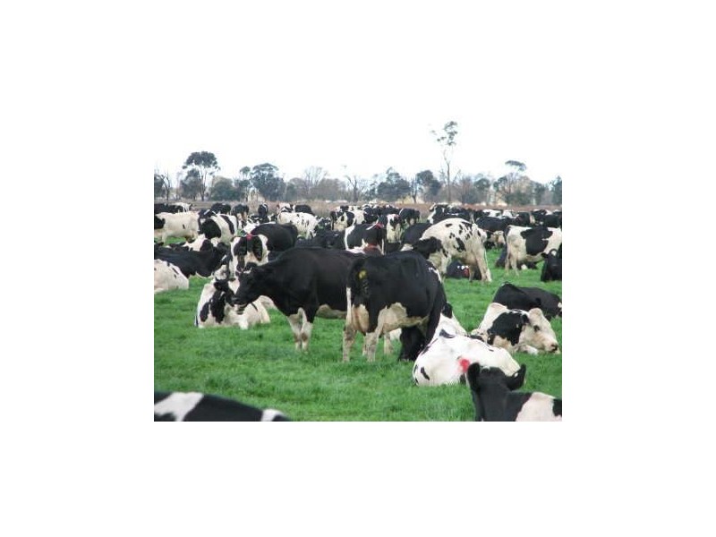 569 MacArthur, Cobram VIC 3644