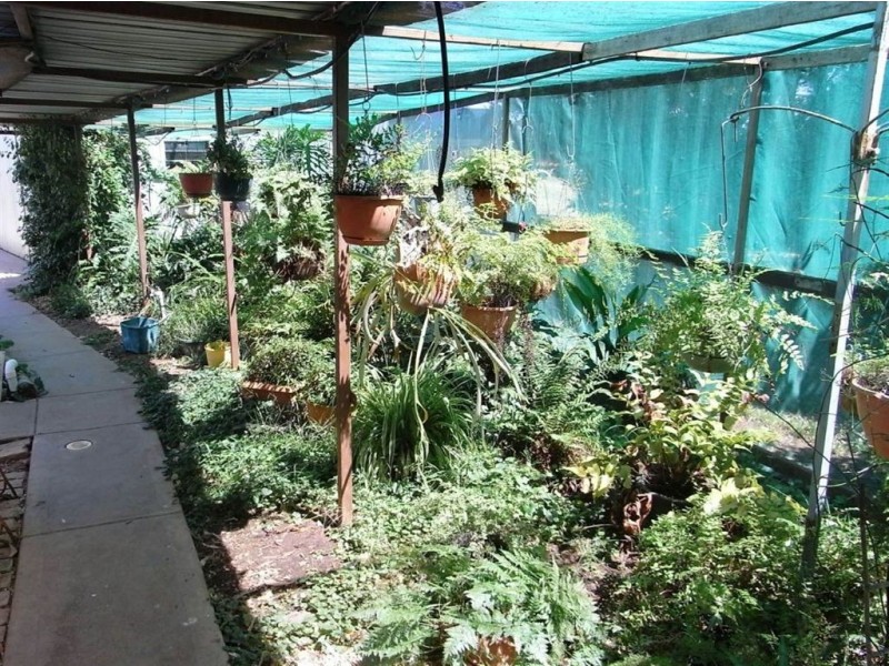 19 Catona Crescent, Cobram VIC 3644