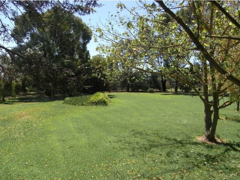 19 Catona Crescent, Cobram VIC 3644