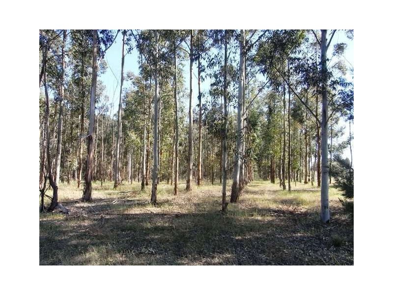 1 Cnr McIntyre & Campbell Roads, Cobram VIC 3644