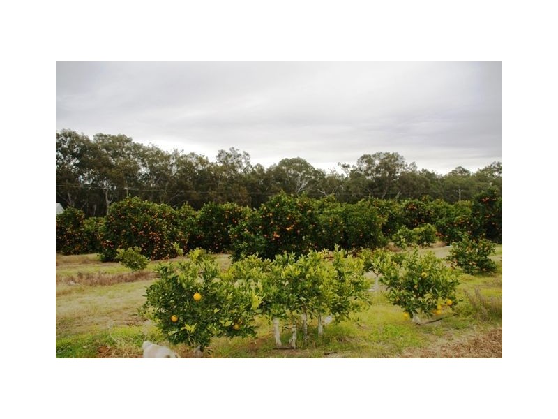 120 Torgannah Road, Koonoomoo VIC 3644